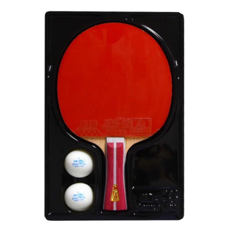 DOUBLE FISH Entry-Level Shakehand Table Tennis Paddle