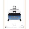 Dog Cat Transparent Bubble Carrier Airline Approved Hard Shell Portable Rolling Luggage Travel Case Dog Stroller Dog Car