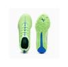 Футбольные бутсы Puma 108097