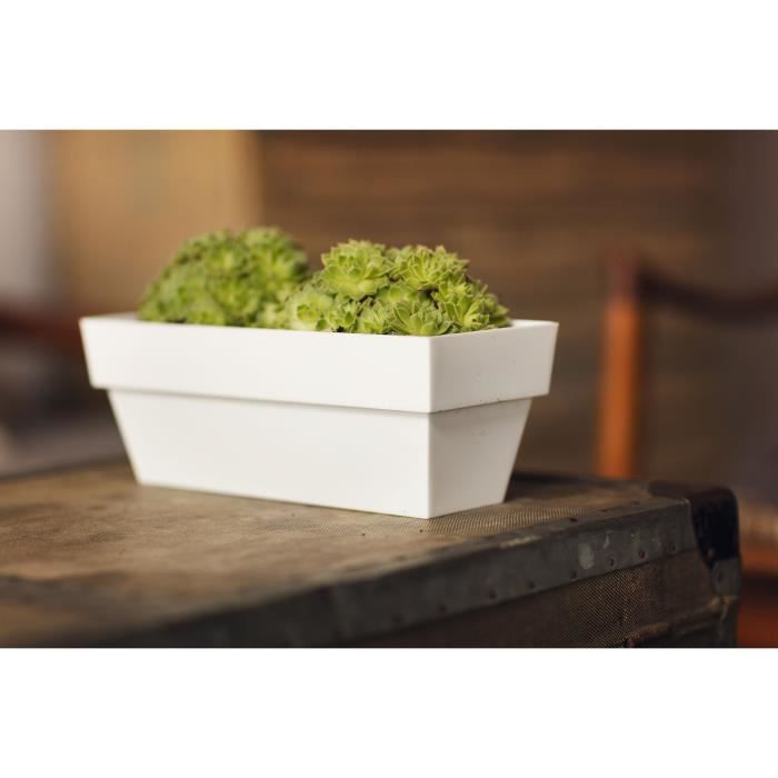 Jardinière 12x30 Cm Collection LIMITED - Blanc