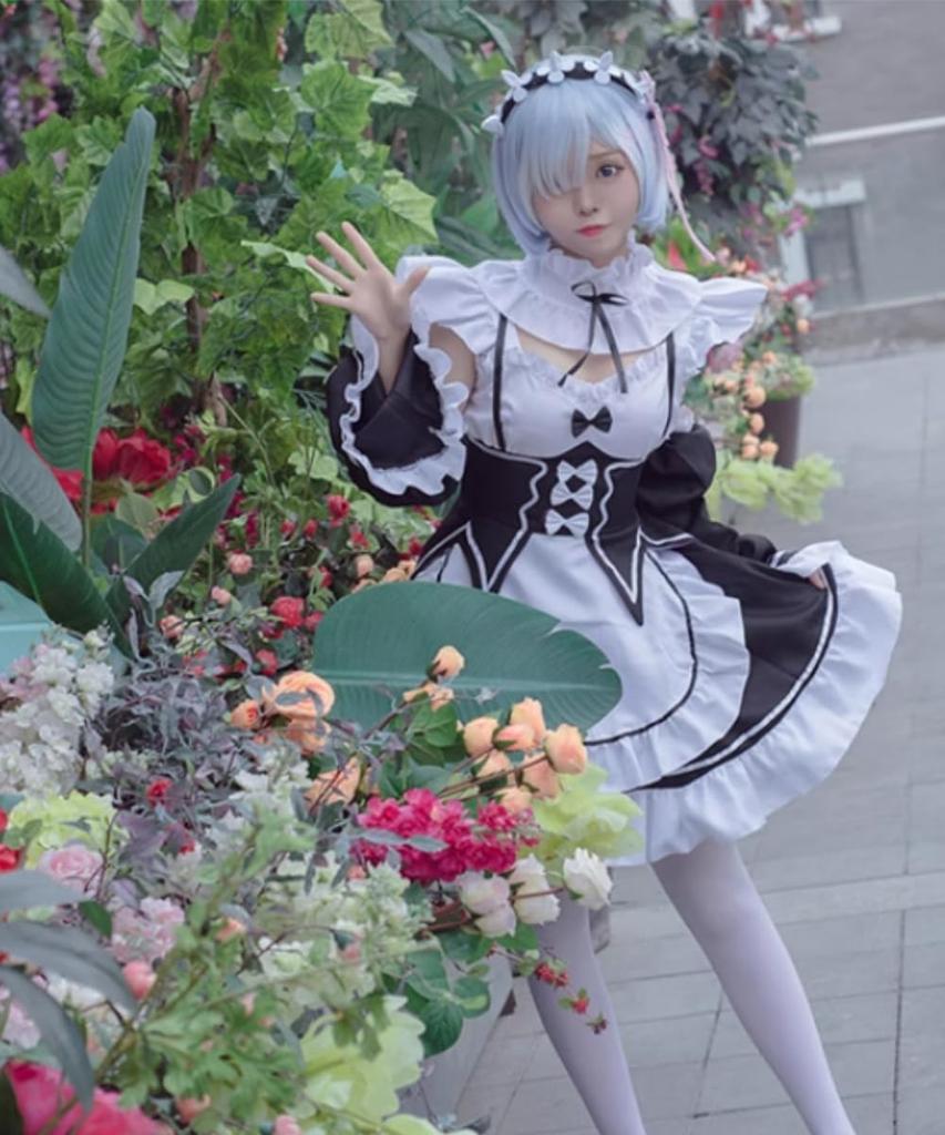 [ZOMOZO] Re:ZERO Rem and Ram Cosplay Maid Outfit with Wig, Adult Cosplay Costume, Anime Costume, Stage Costume, Halloween, Christmas, Re:ZERO -Startin