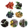 Fake Artificial Fruit Fruits Kitchen Photography Props