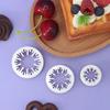 33PCS Biscuit Cutting Mold Spring Pressing Molds Leaf Star Heart Easy To Remove Fondant Cake Cookie Cutter Kitchen Accessory ZYF
