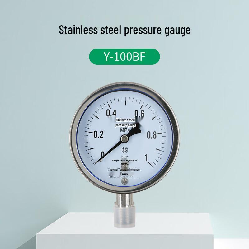 DEKOY 100BF Stainless Steel Pressure Gauge (CN Version)