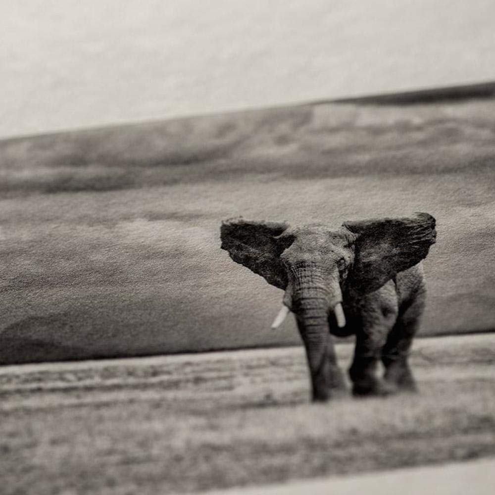 Awagami Factory Inkjet Printing Washi Bizan Paper, (IJ-3224 Natural/Medium Weight, A4)