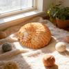 Three-Color Animal Model Plush Cat Toy - British Shorthair, Siamese, Persian, Orange, and Leopard Cat Simulation for Kids.