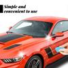 Scratch Repair for Car Paint - Easy Scratch Removal , Protection, 100ml