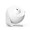 Globe Galaxy Starry Sky Projector: 13 HD Film Sets for Bedroom Ambiance