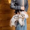 Cani – Collari e guinzagli per cani