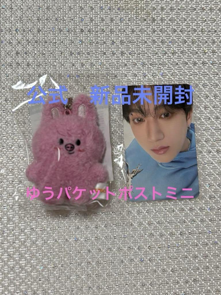 [USED] Changbin Micro Keyring Stray Kids Touekki SKZOO