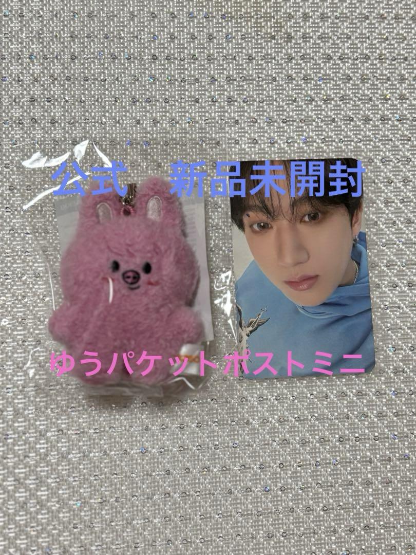 

[Б/У] Чанбин Микро Брелок Stray Kids Туэкки SKZOO