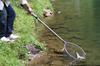Daiichi Seiko Landing Net Auto King Frame Gunmetal Landing Net Fishing 48-160R