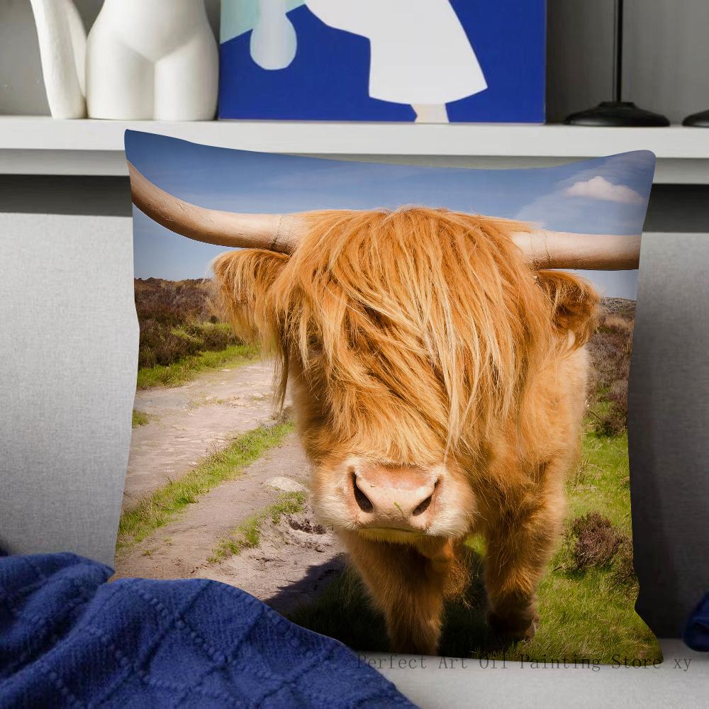 Scottish Highland Cattle Pillow Case Fashion Square Pillowcase Bedroom Sofa Room Ins Decoration Leisure Cushion Cover 40x40