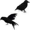 2pc Simulation Black Feather Crow Halloween Crow Decoration Black Raven Movie Prop Fake Crow Prank Scary Halloween Prop For Deco