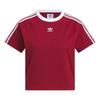 Adidas Originals 3 Stripes Raglan Sleeve T Shirt Women's Burgundy KF0314