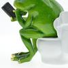 Toilet Frog Figurine Watching Phone Cartoon Frog Statue Resin Sculpture Indoor Outdoor Decoration Ornament