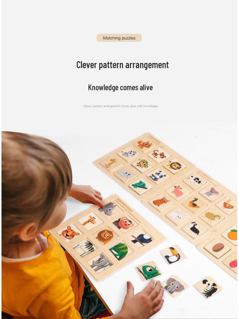 Montessori Wooden Logic & Matching Puzzle Toy for Cognitive Development