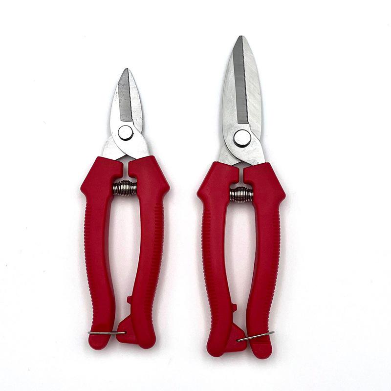 Stainless Steel Pruning Scissors for Garden, Branch, and Flower Arranging