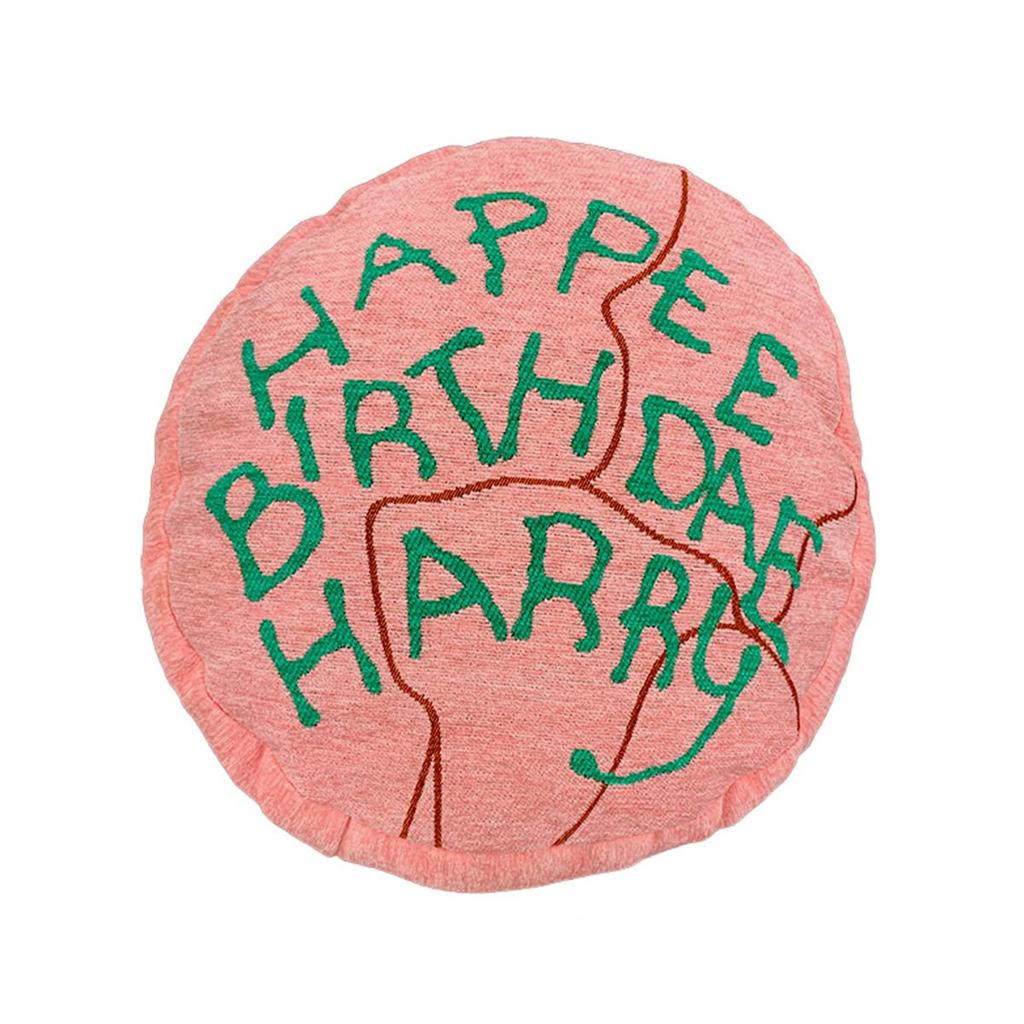 Marushin Harry Potter Cushion, Gobelin, Harry's Birthday, Funny Gift, Birthday Gift, 4105030800