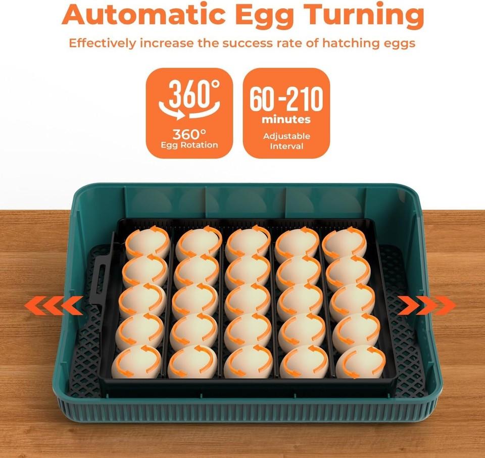 25 Egg Digital Incubator Fully Automatic Hatching Machine Automatic Water Supply