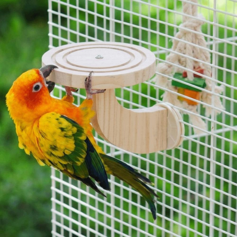 Bite Resistant Wooden Bird Perch Stand Parrots Ladder Bird Training Stand Small Pet
