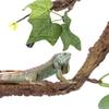 2Pcs 17 Inch Reptile Branches with Suction Cups Lizard Climbing Vines