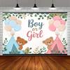 2D Boy or Girl Gender Reveal Backdrop Teddy Bear Photography Background Banner