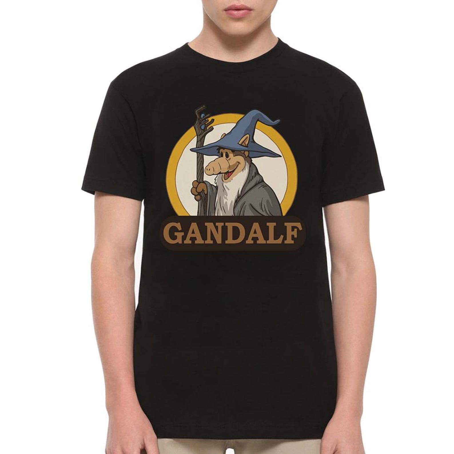 Gandalf Funny T-Shirt, J. R. R. Tolkien Shirt, Men s and Women s Sizes S