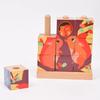DJECO Forest 3D Wooden Building Picture Educational Toy with Animal Montessori Ages and Boys and Baby Gift for Baby Kindergarten Summer Kids Puzzle-Up
