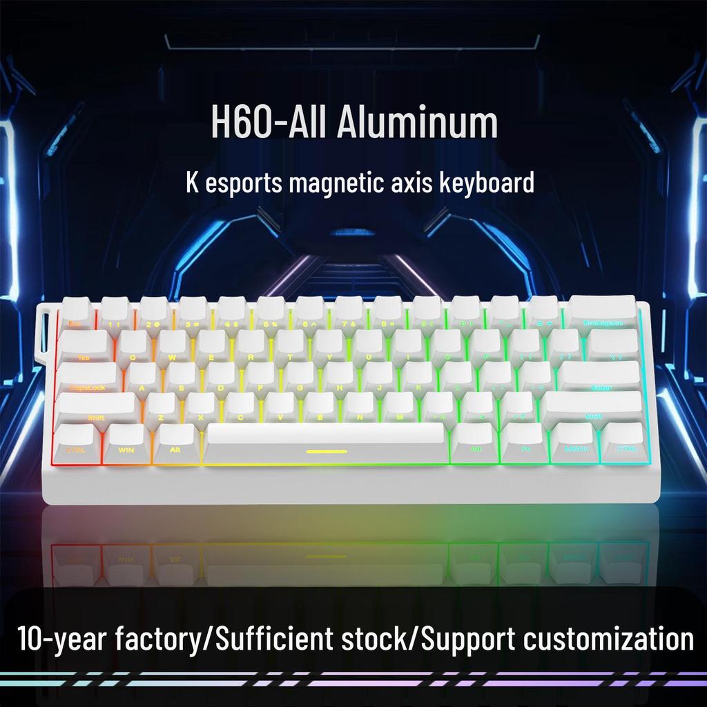 Customizable 61-Key Wired Gaming Mechanical Keyboard with Magnetic Switch and Aluminum Gasket Mount