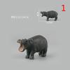 Animal Models Simulation of Wild Animals Toy Models Hippopotamus Models