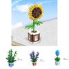 Rose Sunflower Daisy Building Blocks Model Toy Kids Gift – Decorate Surprise