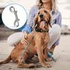 Köpek – Köpek Tasmaları ve Tasma Kayışları