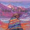 Hide N Seek by Timo Savimaki Paperback Book 9781035866823