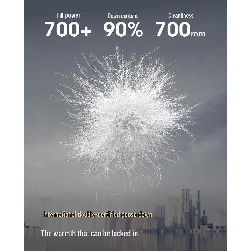 Bosideng B250134125 Detachable Hood Down Jacket