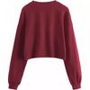 2024 Autumn/Winter Women's Solid Color Plus Velvet Loose Round Neck Short Hoodie