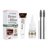 Long-Lasting Waterproof Eyebrow Dye Set  Semi-Permanent, Smudge-Proof, Easy To Apply with Nourishing Vitamin E & Natural Shades for Flawless, Long-Las
