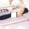 Portable Self-Inflating Camping Pad - Moisture-Proof and Thickened Sleeping Mat
