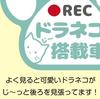 My Craft | Draneko-equipped Car Sticker | Drive Recorder Recording, Paw Design, Cat Lovers Must-see! (Dull Green)
