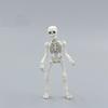 White Pvc Skull Toy With Movable Skeleton Human Body Flexible Model For Collection