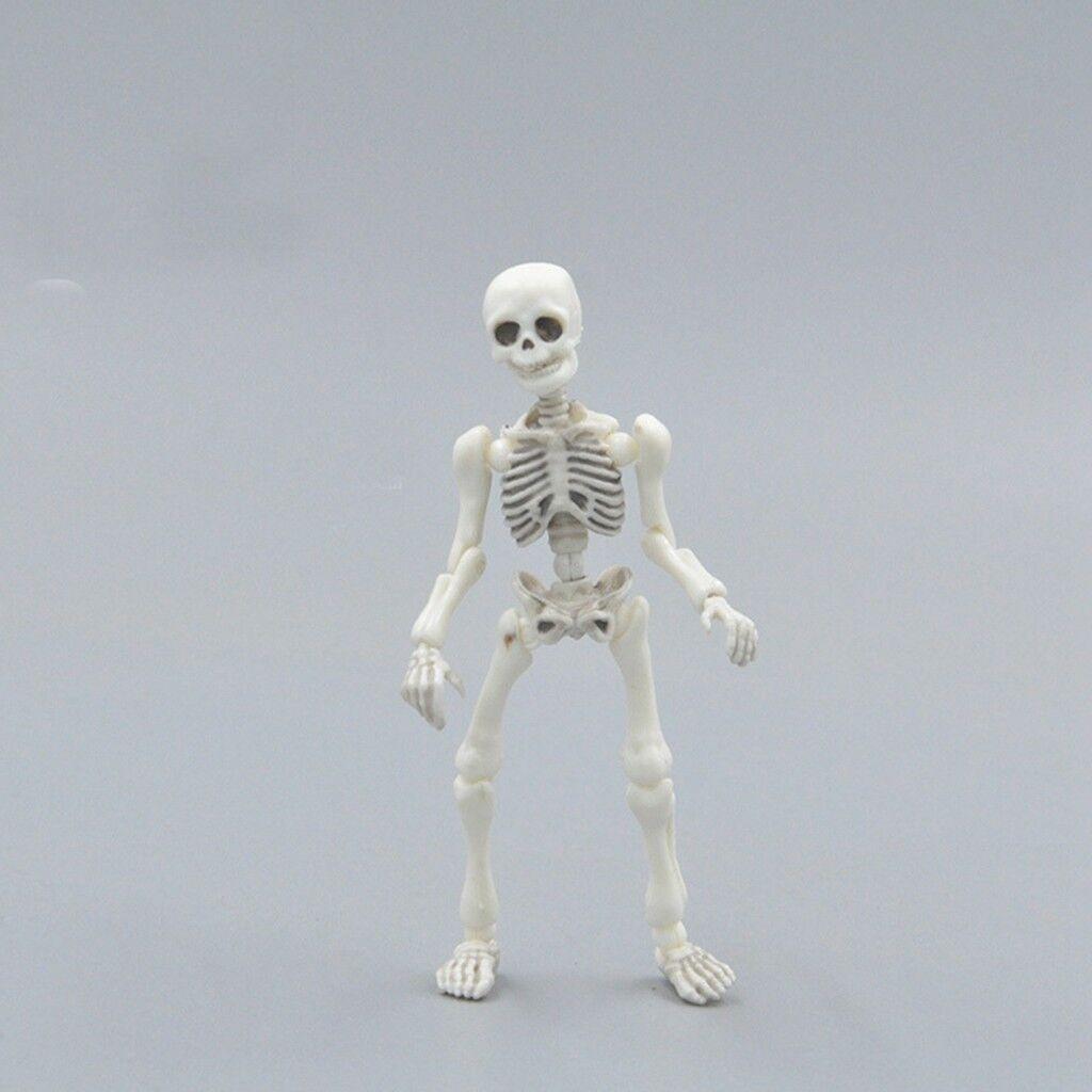 White Pvc Skull Toy With Movable Skeleton Human Body Flexible Model For Collection
