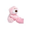 Baby Kinderen Comfort Zacht Knuffeldeken Teddybeer Pluche Gevuld Wasbaar Glad Speelgoed Voor Gezellige Knuffels En Zachte Knuffels