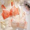 Popular Women's Wire-Free Sexy Embroidered Push-Up Lingerie Set with Adjustable Thick Bra