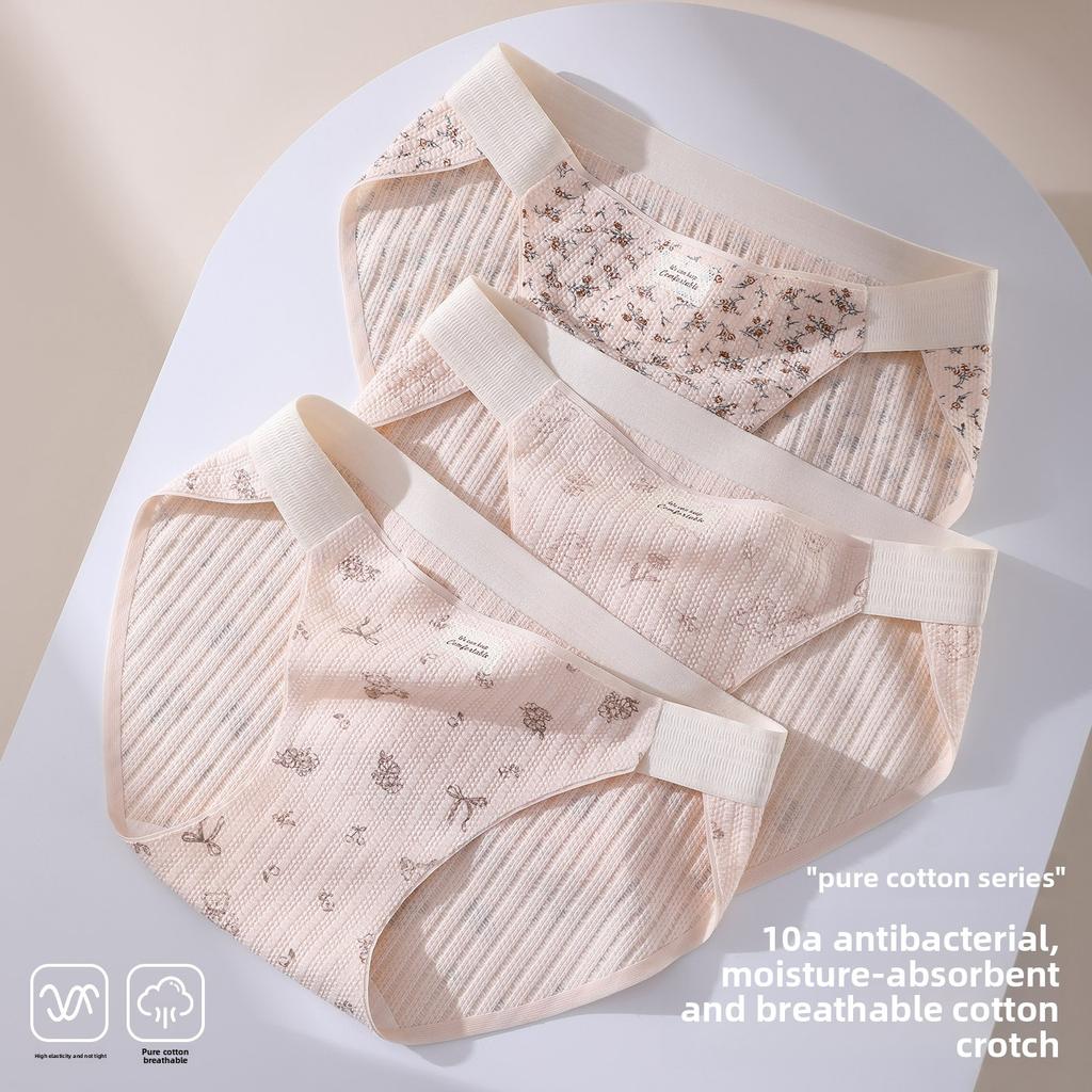 Plus Size Women's 10A Cotton Antibacterial Crotch Breathable and Gently Tucked High Waist Briefs