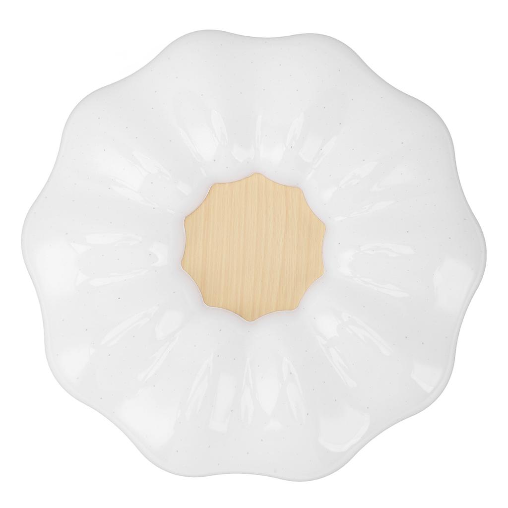Flush Mount Ceiling Light Modern Ceiling Lamp 3 Color Temperature Dimmable Remote Control for