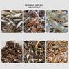 Mesh for Fishing Net/Cage/Tackle Crayfish Catcher Landing/Cast Net Folding Cast