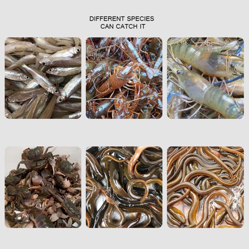 Mesh for Fishing Net/Cage/Tackle Crayfish Catcher Landing/Cast Net Folding Cast
