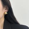 Simple Metal Sphere Earrings, Earrings, Light Luxury Temperament, High Sense, Shining Cold Wind Aura, Personalized Earrings