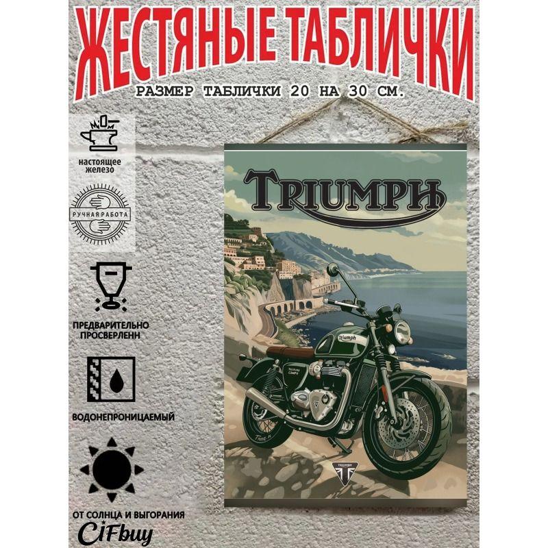Vintage Metal Poster Motorcycle Decor 20x30 Cm