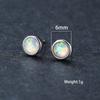 European and American Blue Round Earrings Fashionable and Versatile Earrings Personalized and Simple Couple Accessories